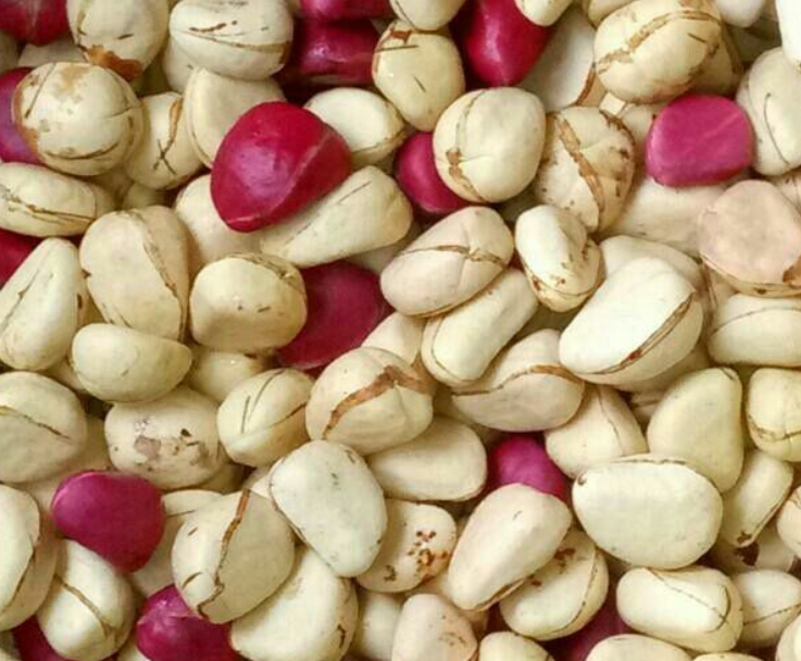 Assorted Kola Nuts in white, red, and rose pink colors with 4-lobed sections used in African herbal and cultural traditions.”