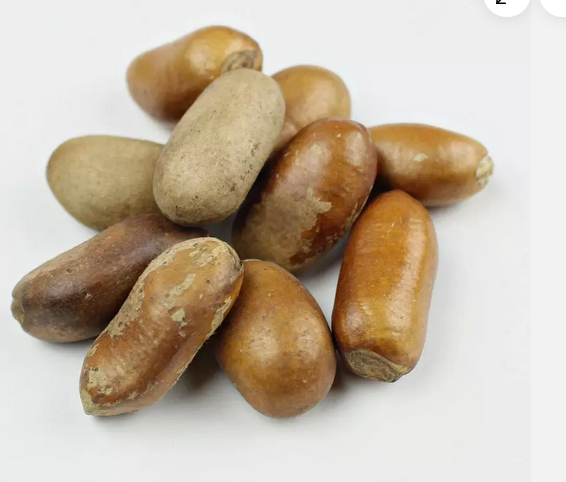 Ehuru Seed- African Nutmeg- Peeled- 72 grams - Aadan Natural Healthy Store